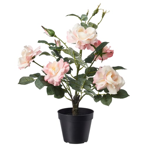 FEJKA Plante artificielle, intérieur/extérieur/rose rose, 12 cm