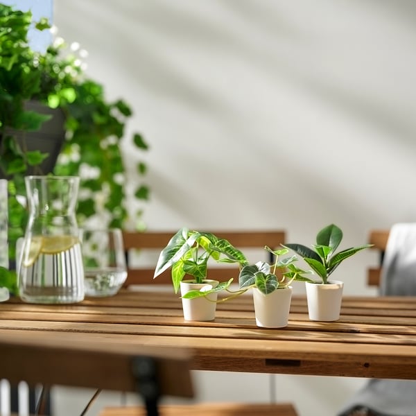 FEJKA Plante artificielle, lot de 3, intérieur/extérieur feuille