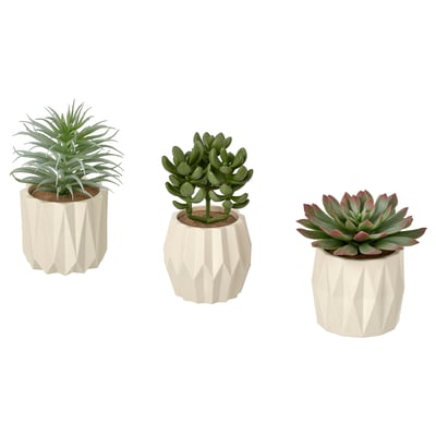 FEJKA Plante artificielle, lot de 3, intérieur/extérieur succulente