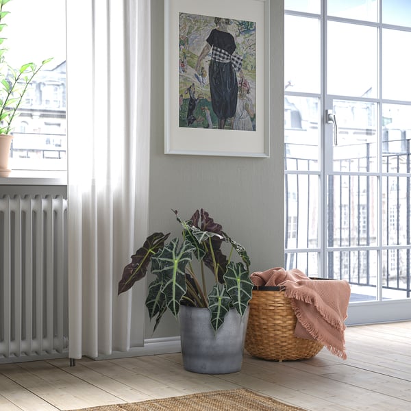 FJÄRILSBUSKE Cache-pot, intérieur/extérieur/gris, 24 cm