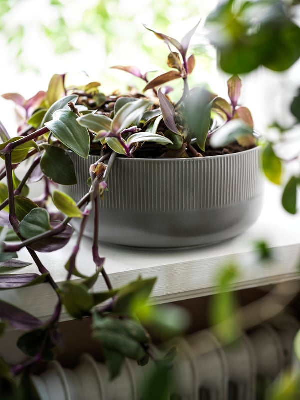 GRADVIS Jardinière, intérieur/extérieur gris, 22 cm
