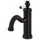 Option : HAMNSKÄR Mitigeur lavabo, noir