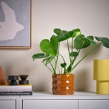HASSELBUKETT Cache-pot, intérieur/extérieur/brun-jaune, 12 cm