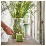 HEDERSAM Bougie parfumée dans verre, Herbe fraîche/vert clair, 50 hr