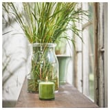 HEDERSAM Bougie parfumée dans verre, Herbe fraîche/vert clair, 50 hr