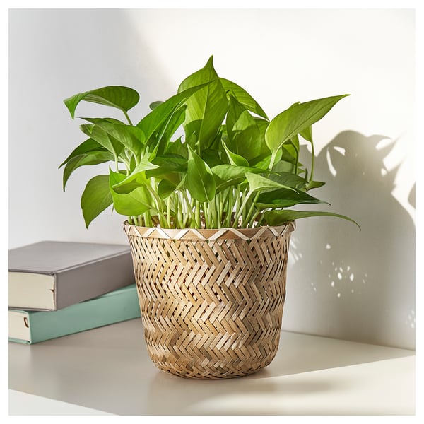 KLYNNON Cache-pot, fait main bambou, 15 cm