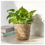 KLYNNON Cache-pot, fait main bambou, 15 cm
