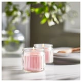 LUGNARE Bougie parfumée dans verre, jasmin/rose, 12 hr