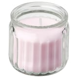 LUGNARE Bougie parfumée dans verre, jasmin/rose, 12 hr