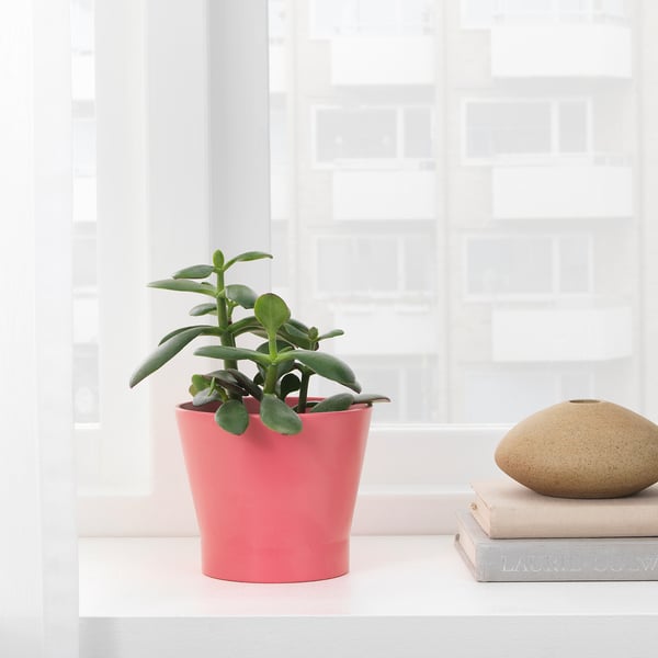 PAPAJA Cache-pot, rouge, 9 cm