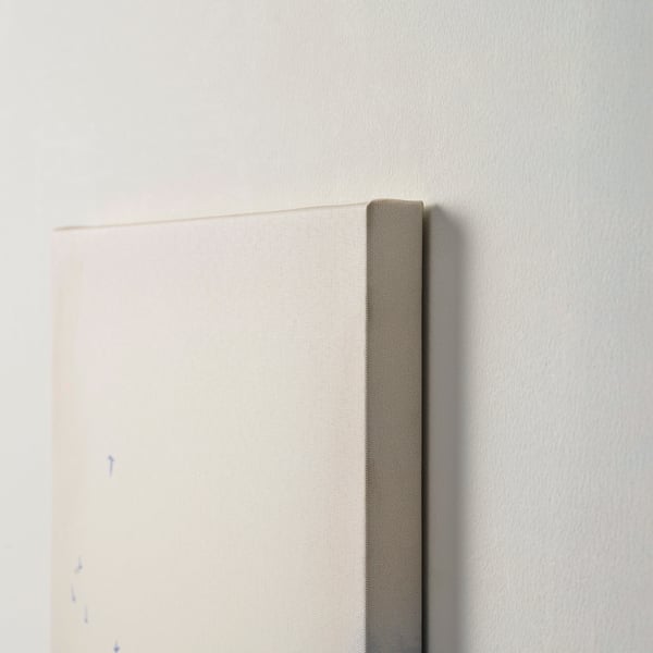 PJÄTTERYD Reproduction, brume matinale, 30x40 cm