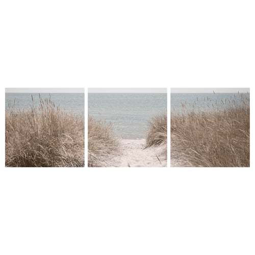 PJÄTTERYD Reproduction, dunes en Suède, 56x56 cm