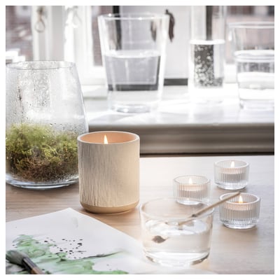 SILKESTRÄD Bougie parfumée dans pot céramique, rosée et mousse/blanc cassé, 45 hr
