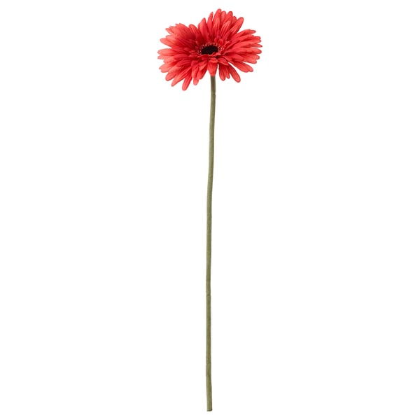 SMYCKA Fleur artificielle, Gerbera/rouge, 50 cm