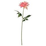 SMYCKA Fleur artificielle, intérieur/extérieur Dahlia/rose, 65 cm