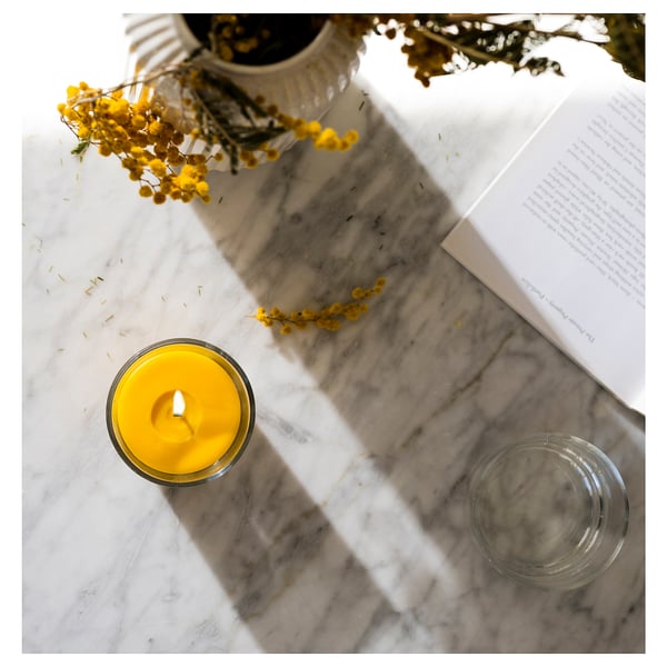 SVARTOXBÄR Bougie parfumée dans verre, mimosa/jaune, 25 hr