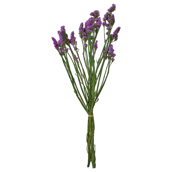 TORKA Fleurs/plantes séchées, botte/mauve, 70 cm