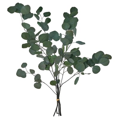 TORKA Plantes séchées, botte/eucalyptus vert, 70 cm