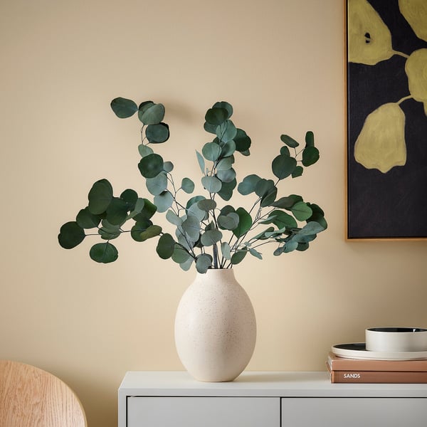 TORKA Plantes séchées, botte/eucalyptus vert, 70 cm