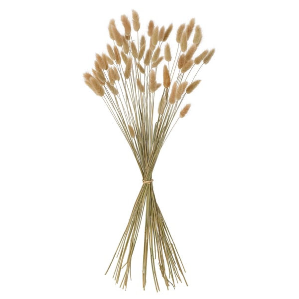 TORKA Plantes séchées, botte/naturel, 60 cm