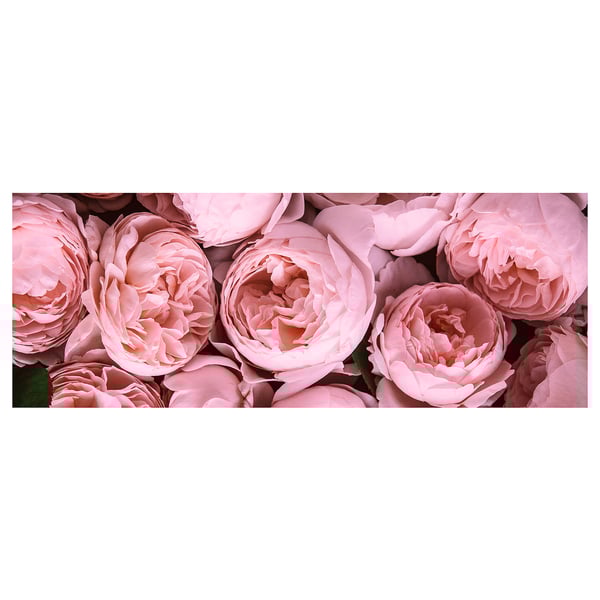 BJÖRKSTA Picture, Pink peony, 140x56 cm
