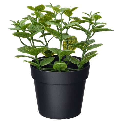 Black potted artificial green plant with variegated leaves.