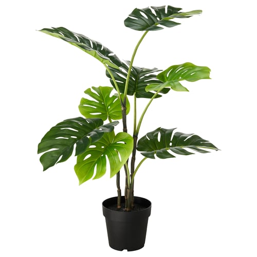 FEJKA artificial plant, green, potted in black, lifelike tropical leaves, modern design.