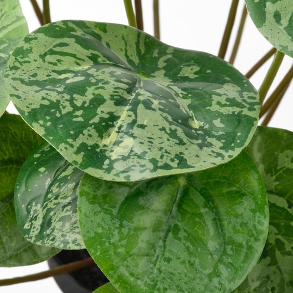 FEJKA Artificial potted plant, in/outdoor Pilea, 9 cm