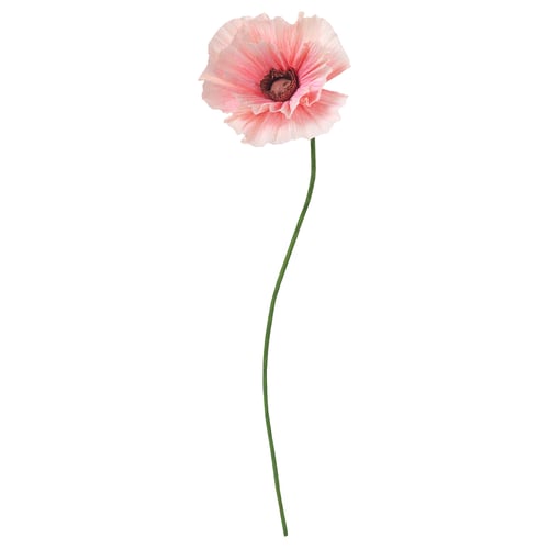 GULDSPETT Artificial flower, paper/Poppy pink, 40 cm