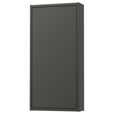HAVBÄCK Wall cabinet with door, dark grey, 46x15x94 cm