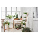 SATSUMAS Plant stand with 5 plant pots, bamboo/white, 125 cm