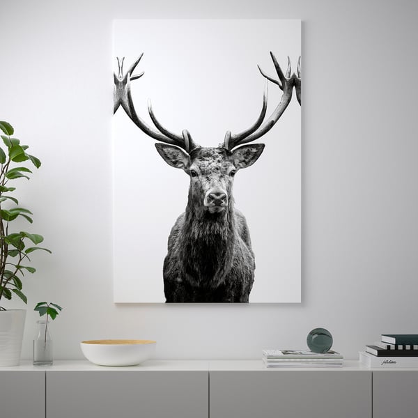 BJÖRKSTA Lienzo, Cuernos, 78x118 cm