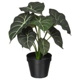 FEJKA Planta artificial, int/ext Alocasia, 12 cm