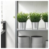 FEJKA Planta artificial, int/ext Bambú de interior, 9 cm