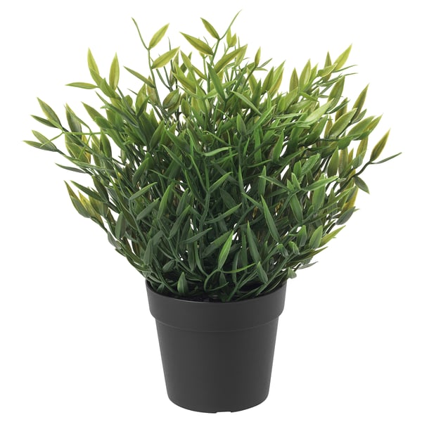 FEJKA Planta artificial, int/ext Bambú de interior, 9 cm