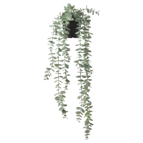 FEJKA Planta artificial, int/ext colgante/eucalipto, 9 cm