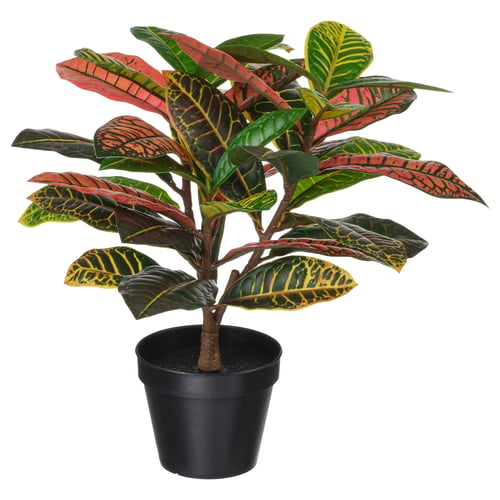FEJKA Planta artificial, int/ext croton, 12 cm