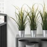 FEJKA Planta artificial, int/ext decoración/hierba, 9 cm