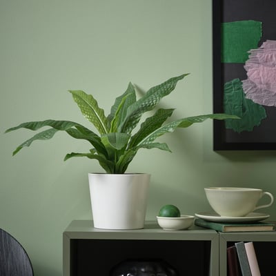 FEJKA Planta artificial, int/ext helecho de cocodrilo, 12 cm
