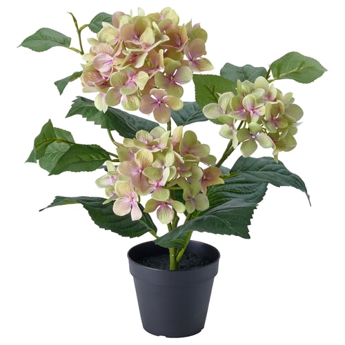FEJKA Planta artificial, int/ext/Hortensia blanco, 12 cm