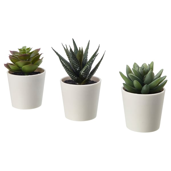 FEJKA Planta artificial, int/ext Suculenta, 6 cm3 piezas - IKEA Mexico