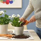 GRÄSMARÖ Juego de jardinería, 3 piezas, int/ext naranja