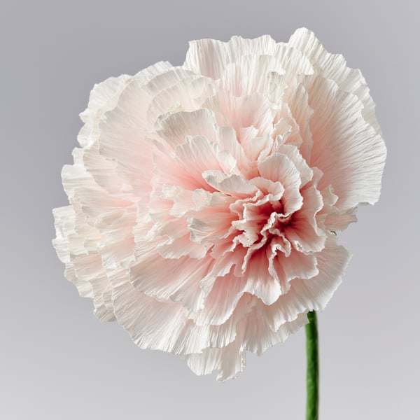 GULDSPETT Flor artificial, papel pintado/clavel blanco, 40 cm