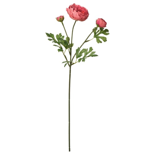 SMYCKA Flor artificial, int/ext ranúnculo/rosa oscuro, 52 cm