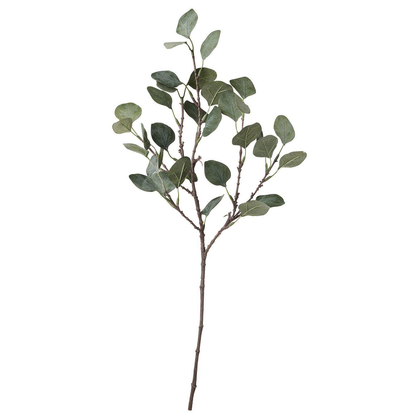 SMYCKA Hoja artificial, eucalipto/verde, 65 cm