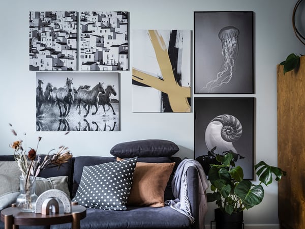 BILD Poster, nautilus shell and jellyfish, 50x70 cm