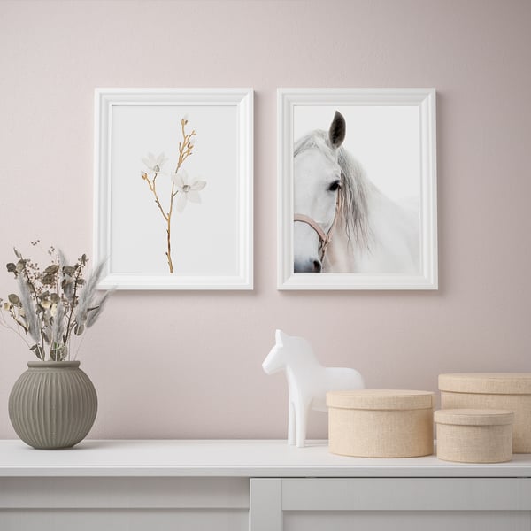 BILD Poster, white flowers and horse, 30x40 cm