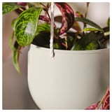 DAKSJUS Hanging planter, set of 2, in/outdoor light grey-beige
