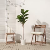 FEJKA Artificial potted plant, in/outdoor fiddle-leaf fig, 19 cm