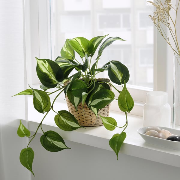 FEJKA Artificial potted plant, in/outdoor Golden Pothos, 12 cm